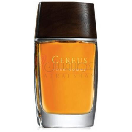 Cereus No. 14-کرئوس شماره 14