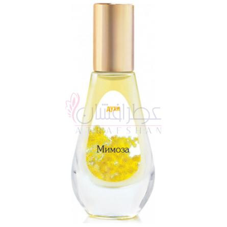 Mimoza-دیلیس پارفوم میوزا