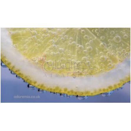 Wild Cologne-اودور میو وایلد کلن