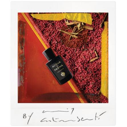 Oud & Spice-آکوا دی پارما عود اند اسپایس