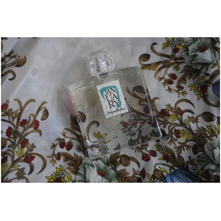 Selperniku-جَنیوئری سن پروجکتس سلپرنیکو