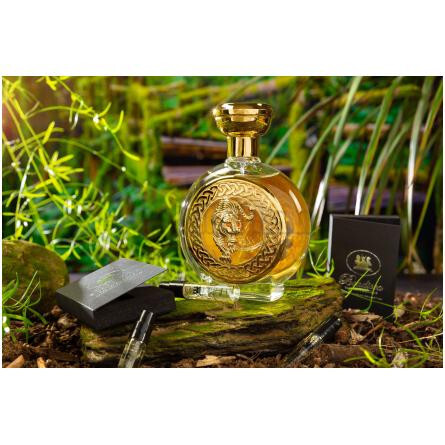 Tiger-بودیسی  د ویکتوریوس تایگر