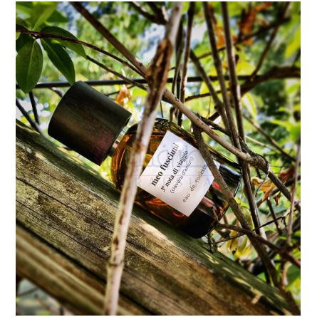 3# nota di viaggio (ciavuru d’amuri)-میو فیشونی نوتا دی ویاجیو ( سیاورو د اموری ) شماره 3