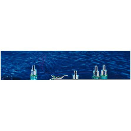 Ocean-هاوس آف سیلیج اوشن