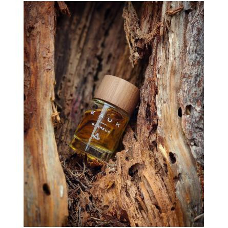 Barreur-ایک بارور