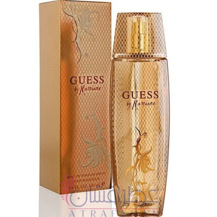 guess guess marciano