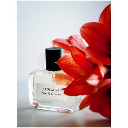 Cornaline-آناتول لبروتون کورنالین