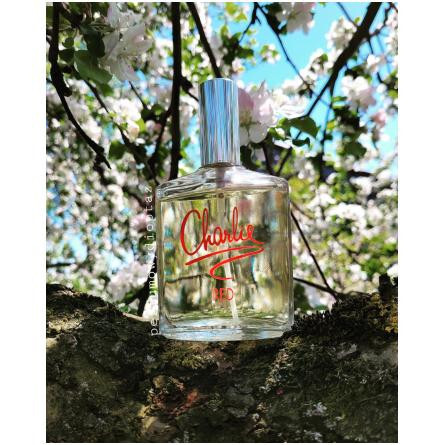 Charlie Red-رولون چارلی رد