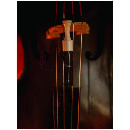 Violon Basse 16-فیلیپو سورسینلی ویولون بیس 16