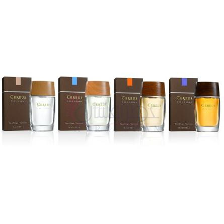 Cereus No.4-کرئوس شماره 4