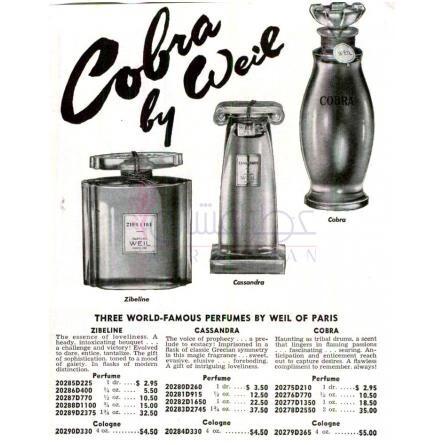 Cassandra-ویل کاساندرا