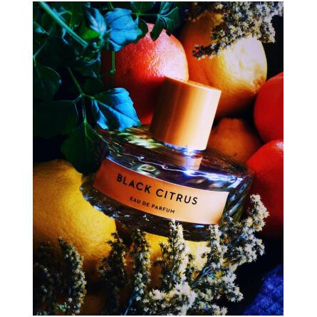 Black Citrus-ویلهلم پارفومری بلک سیتروس