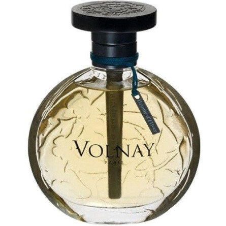 Brume d`Hiver-ولنی بروم د هایور