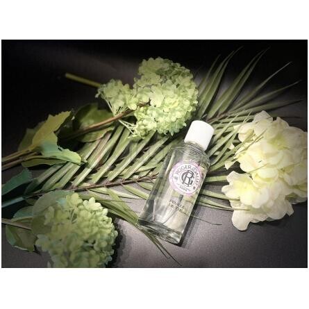 Feuille de Thé-راجر اند گالت فویلی دی د