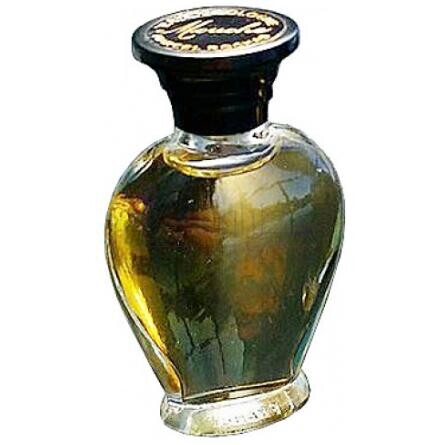 Mouche-روشاس موچی