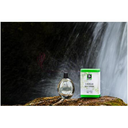 Il Risveglio delle Esperidi-دی اف جی 1924 2 ریسوجلیو دل ایسپریدی