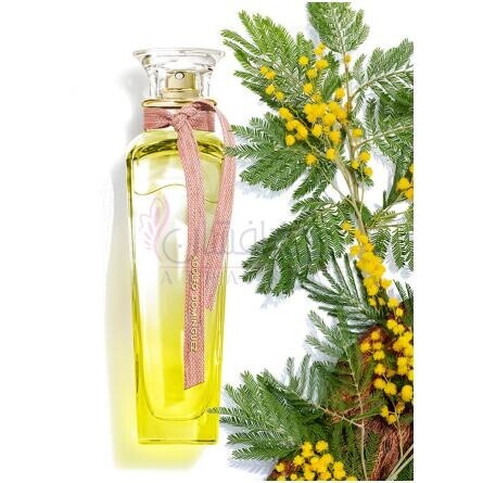Agua Fresca de Mimosa Coriandro-آدولفو دومینگز اگوا فرسکا دی میموسا کوریاندرو