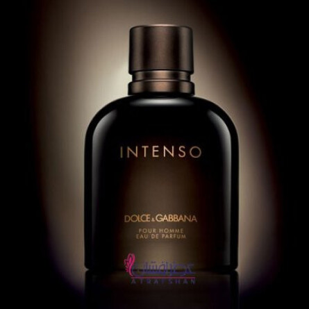 Pour homme intenso cheap by dolce & gabbana