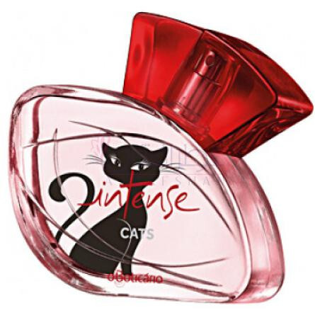 Intense Cats-او بوتیکاریو اینتنس کتس