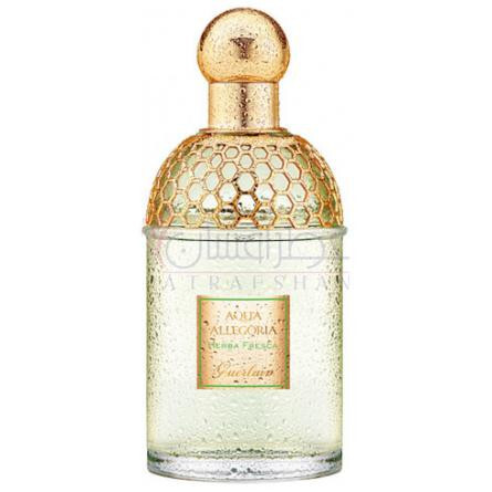 Guerlain herba 2024 fresca