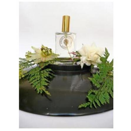 White Flowers-انجلا فلاندرز وایت فلاورز