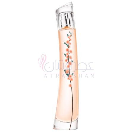 Flower Ikebana Mimosa-کنزو فلاور ایکیبانا میموسا