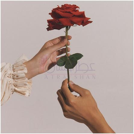 Red Roses Cologne (2023)-جو مالون رد رزز کلن 2023