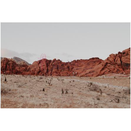 Miglot Pure Oudh Edition 1-میگلات میگلات پیور عود ادیشن 1