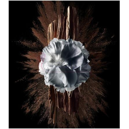 Gentleman Society Eau de Parfum Extrême-جیونچی جنتلمن سوسایتی ادوپرفیوم اکستریم