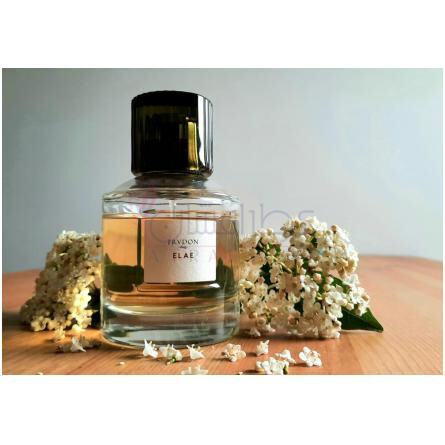 Elae-میسون ترودون ایلای