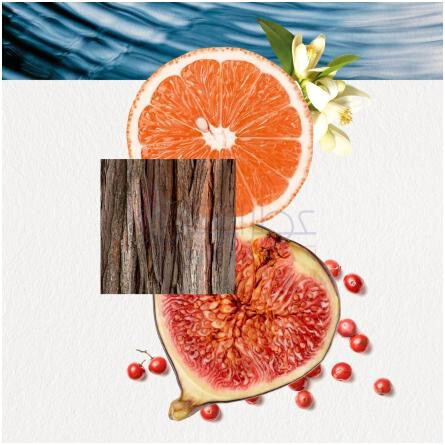 Omizu For Him-آنایاکه اومیزو فور هیم