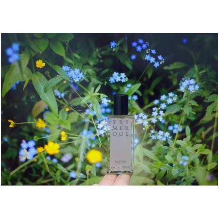 Trimerous-جوروم استودیو تریمروس