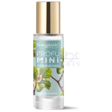 Foglie di Fico-بوتگا ورد فوگلی دی فیکو