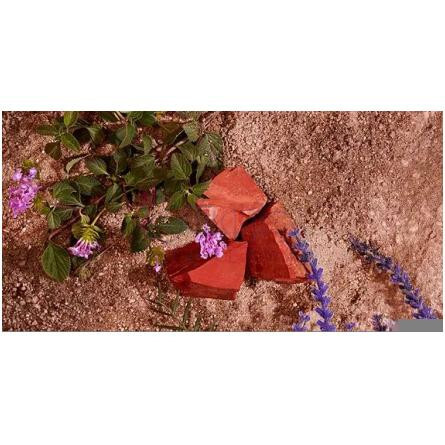 Daisy Eau So Fresh Paradise Limited Edition Eau de Toilette-مارک جاکوبز دیزی او سو فرش لیمیتد ادیشت ادوتویلت