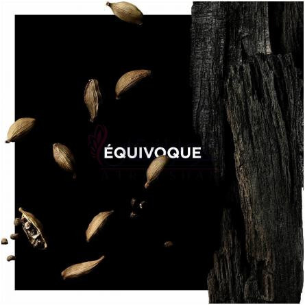Équivoque-جیونچی ایکوییوک