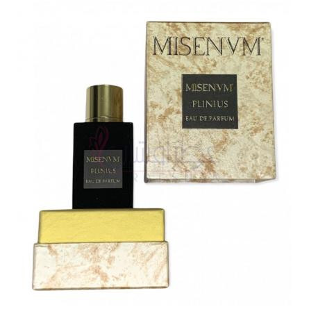 Plinius-میسنوم پلینیوس