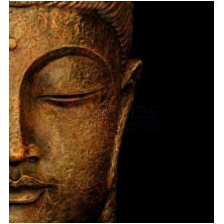 Ambre Fonce-اوا لوکس امبر فونس