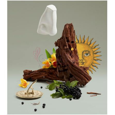 Solaris-پنهالیگونز سولاریس