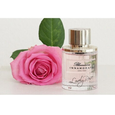 Innamorata Lovely Rose-بلومارین اینناموراتا لاولی رز
