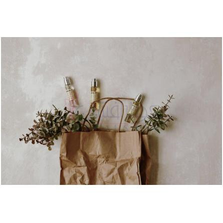 Jasmin 17-له لابو جاسمین 17