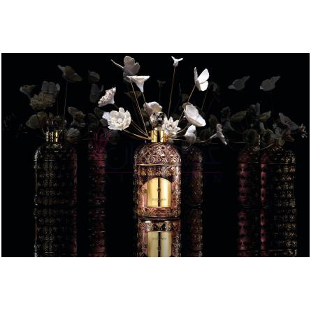 Bee Garden-گرلن بی گاردن