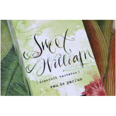 Sweet William-اینه که سوییت ویلیام