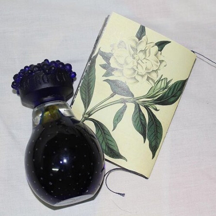 Gardelia-بوگو گاردلیا