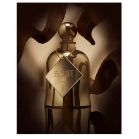 Tarab-سرج لوتنس تاراب