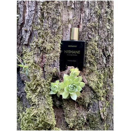 Shinanay-نیشان شینانای