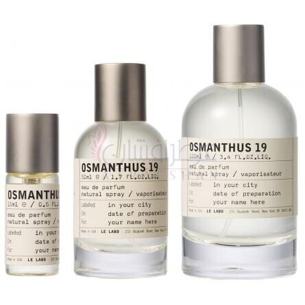 Osmanthus 19 Kyoto-له لابو اوسمانتوس 19 کیوتو