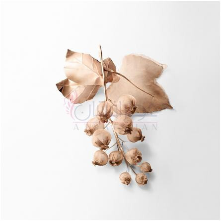 Tiffany & Co Rose Gold-تیفانی اند کو رز گلد