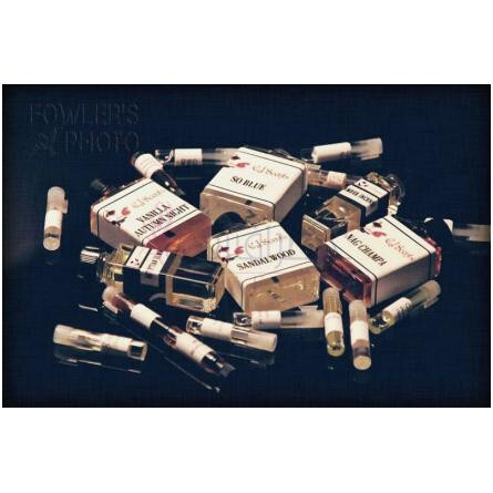 Autumn Nights-سی جی سنتس اوتم نایتس