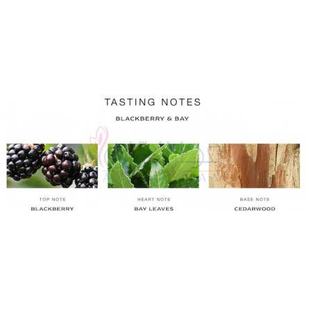 Blackberry & Bay Cologne-جو مالون بلکبری اند بی کلن