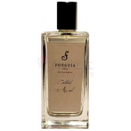 Cactus Azul-فوگیا 1833 کاکتوس ازول